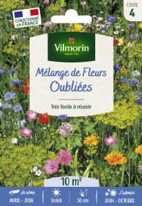 Fleurs Oubliées - 10 m² - Mélange de fleurs